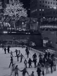 pic for New york skating